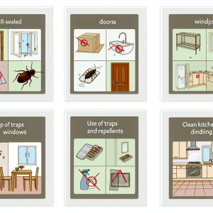 Comment empêcher les nuisibles d’entrer dans votre maison