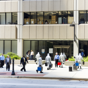 Comment dératiser un immeuble de bureaux